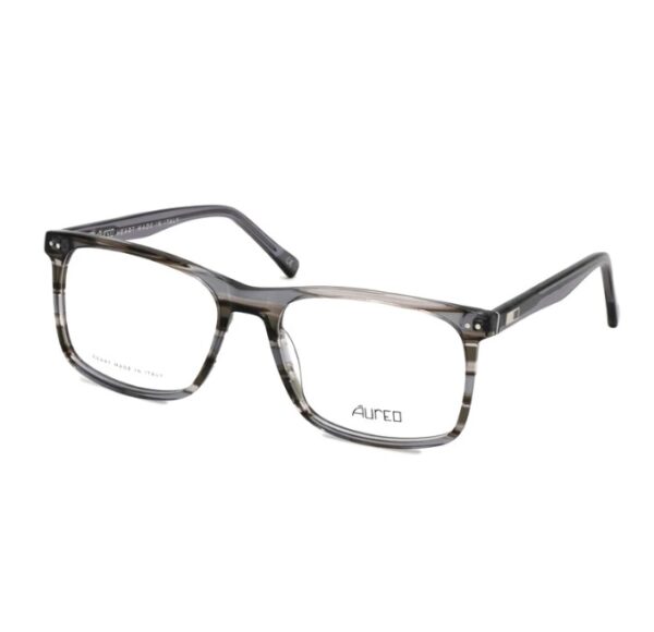 Lentes de receta AUREO 3013